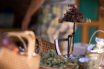 herbalist workshop