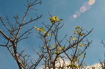 Spring in Patagonia