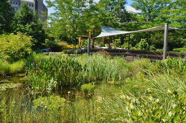 Water Garden with Outdoor Patio Washington District of Columbia