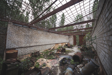 Overgrown walking prison area in an abandoned town. Radioactive city of Pripyat.