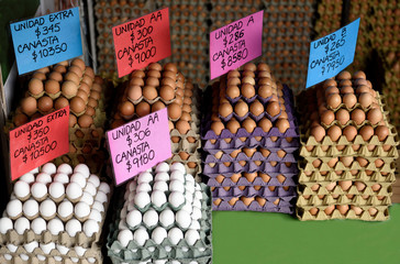 Stacks and rows of various grades of fresh brown and white chicken eggs in a farmers market in Colombia, South America