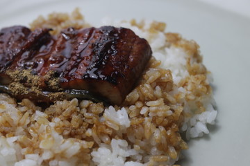 Japanese Food, Rise with Grilled EEl