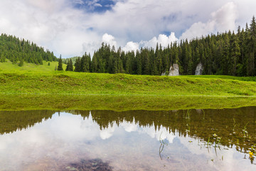 Fototapeta premium Beautiful meadow in the mountains in summer, on a bright day