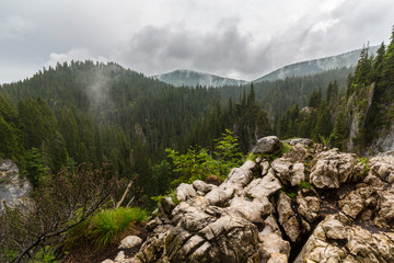 Fototapeta na wymiar Mountain scenery in the Transylvanian Alps in summer, with mist and rain clouds