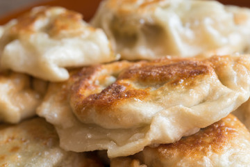 fried vegetarian dumpling on plate