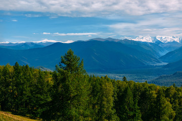 Mountain valley with trees and cloudy sky, golden autumn panorama landscape, Altai Republic