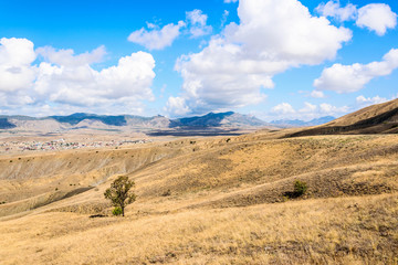 Steppe dried vegetation in the mountains
