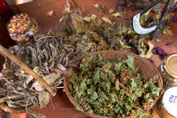 herbalist workshop