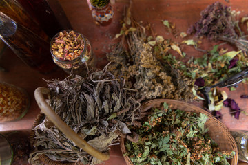 herbalist workshop