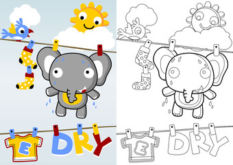 drying time with funny elephant, coloring book or page, vector cartoon