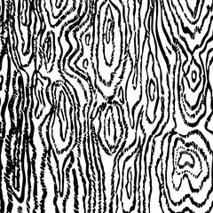 Linear black wood texture on white background vector image