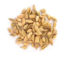 Green cardamon pods isolated on white background