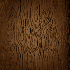 brown Texture of Dark Wood Vector Image