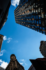 Skyscrapers in the city