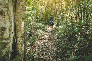 young people hiking in forest