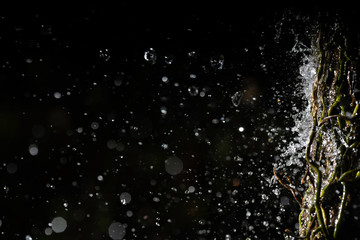 water Splashing to the tree Isolated on a black background