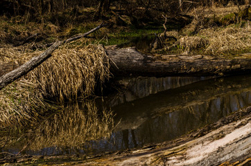 potok  © wedrownik52