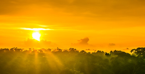 sunset over the trees in the brazilian rainforest of Amazonas
