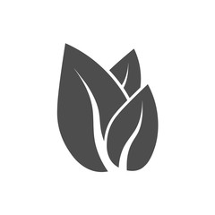 Green leaf, Eco icon. Vector illustration, flat design.