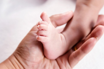 Obraz na płótnie Canvas Parent holding feet of newborn baby in the hands