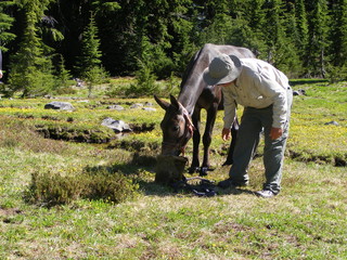 Sourdough with mule