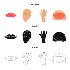 Fototapeta premium Vector illustration of body and part logo. Set of body and anatomy vector icon for stock.