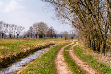 Obraz premium Krajobraz wiejski. Wiosna na Podlasiu. Dolina Narwi
