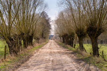 Krajobraz wiejski. Wiosna na Podlasiu. Dolina Narwi