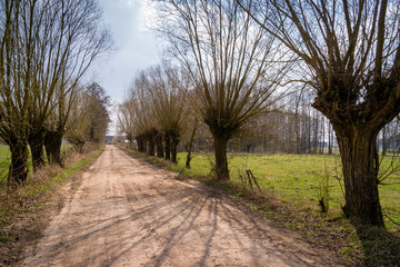 Krajobraz wiejski. Wiosna na Podlasiu. Dolina Narwi © podlaski49