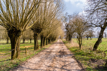 Krajobraz wiejski. Wiosna na Podlasiu. Dolina Narwi © podlaski49
