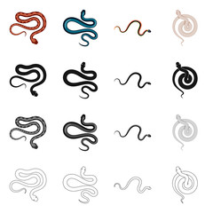 Isolated object of mammal and danger logo. Collection of mammal and medicine stock symbol for web.