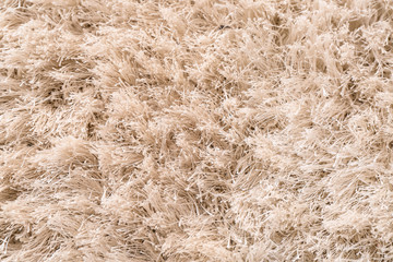 Texture of fluffy carpet