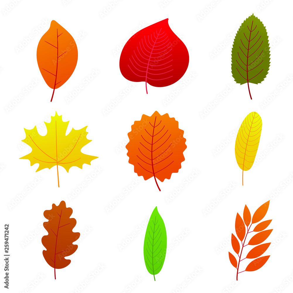 Poster 9 Set of multicolored autumn leaves collection flat style design gradient version vector illustration isolated on white background.