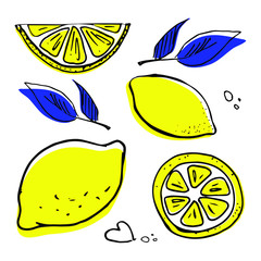 Hand drawn fruits lemon set vector illustration isolated on white background. Whole, parts, leaves and brunches sketch style collection colored with shape template.