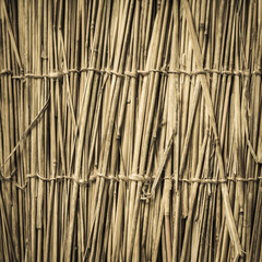 Highly detailed bamboo background. Perfect natural texture.