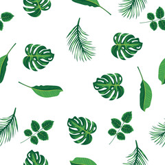 Foliage pattern of green tropical plant, palm and tree on white background. Pattern green leaves monstera tree, natural seamless background. Exotic rainforest plants, flora and nature concept.