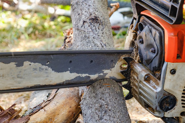 Chainsaw. Close-up of woodcutter sawing chain saw in motion, sawdust fly to sides.