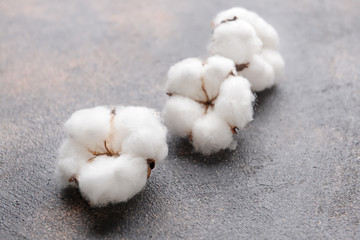 Cotton flowers on grey background