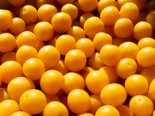 Multiple yellow cherry-plum fruits harvested in summer