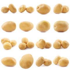 Fresh potato isolated on white background
