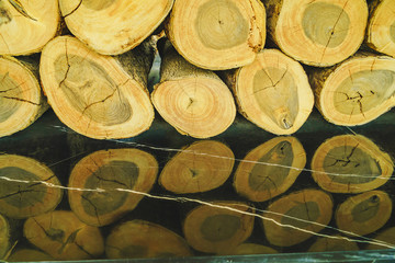 The front of the logs is aligned with the reflection on the black mirror, Pile of wood logs for winter, wooden background, pile of gold coins.