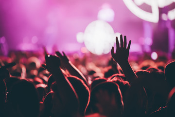 Cheering crowd at concert enjoying music performance