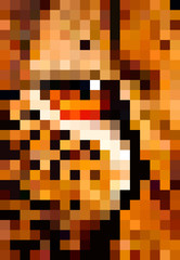 Animal pixel art. Eye of leopard pixel illustration.
