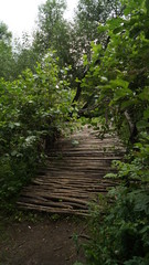 Obraz premium bridge