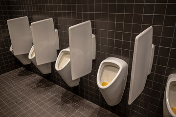 Urinal in Restroom in Switzerland.