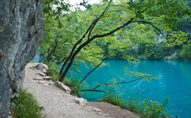 Way near water, Plitvice Lakes in Croatia, National Park