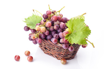 Grapes in the basket