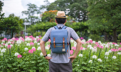 young man tourists backpack are sitting visit spider flower garden. during traveling in the holidays. It is a beautiful natural vegetation