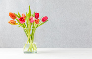 colorful tulips in a Vase with gray background