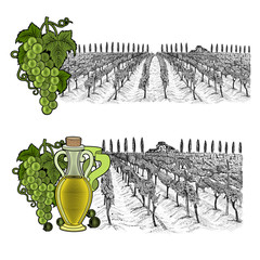 Two drawned sketches landscape of vineyard on hills with house, farm on the horizont with color...